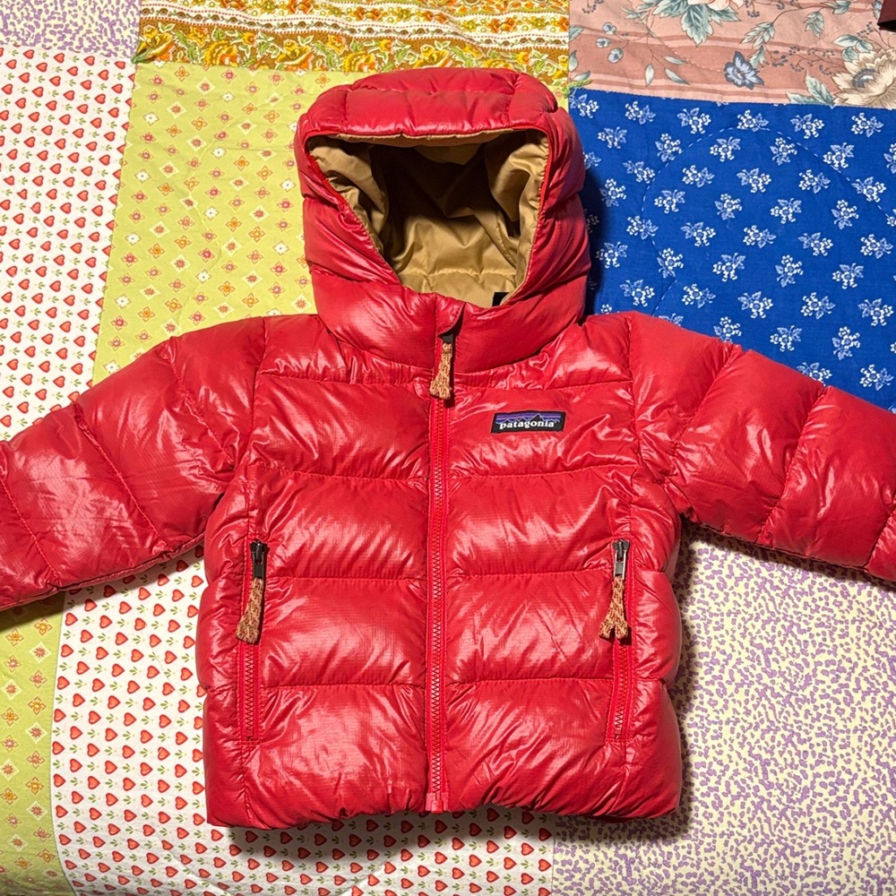 Toddler Patagonia Vibrant Red Hooded Jacket